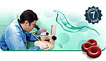The collection's logo